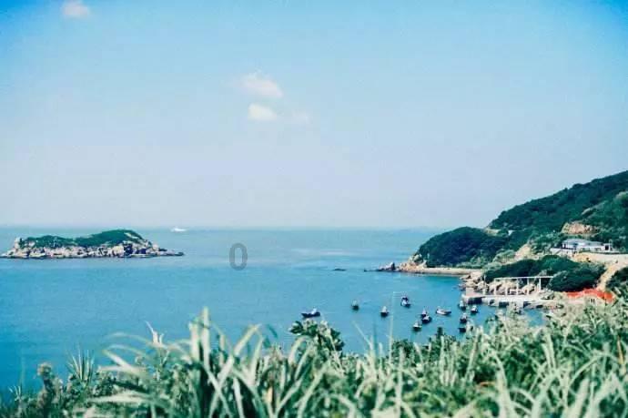 道奇蝰蛇找不同