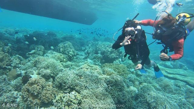刘浩存果然被预言洗白了吗？震撼真相曝光，不容错过！